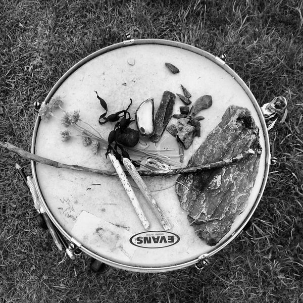 A snare drum, photographed from above, presents a circle in the centre of the square frame. On top of the drum are a collection of objects including stones, sticks, shells, flowers, and seaweed.